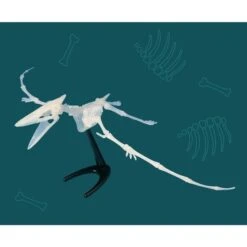 KOSMOS Nachtleuchtender Flugsaurier, Experimentierkasten 6 KOSMOS Nachtleuchtender Flugsaurier, Experimentierkasten -Trendiger Spielzeugladen KOSMOS Nachtleuchtender Flugsaurier Experimentierkasten@@1877993 1