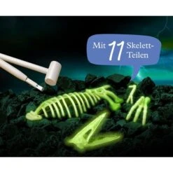 KOSMOS Nachtleuchtender Flugsaurier, Experimentierkasten 7 KOSMOS Nachtleuchtender Flugsaurier, Experimentierkasten -Trendiger Spielzeugladen KOSMOS Nachtleuchtender Flugsaurier Experimentierkasten@@1877993 2