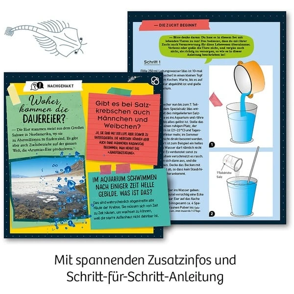 KOSMOS Urzeit-Krebse, Experimentierkasten 2 KOSMOS Urzeit-Krebse, Experimentierkasten – Bild 2