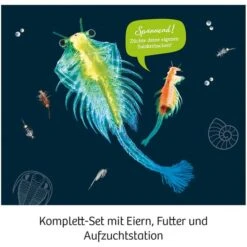 KOSMOS Urzeit-Krebse, Experimentierkasten 9 KOSMOS Urzeit-Krebse, Experimentierkasten -Trendiger Spielzeugladen KOSMOS Urzeit Krebse Experimentierkasten@@1sgoe06u 3