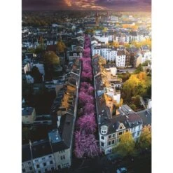 Ravensburger Puzzle: Blühendes Bonn (1500 Teile) -Trendiger Spielzeugladen Ravensburger Puzzle Bl hendes Bonn 1500 Teile @@1828733 1