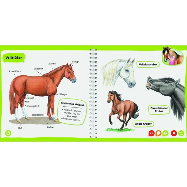 Ravensburger Tiptoi Pocket Wissen: Pferde Und Ponys, Lernbuch 2 Ravensburger Tiptoi Pocket Wissen: Pferde Und Ponys, Lernbuch – Bild 2